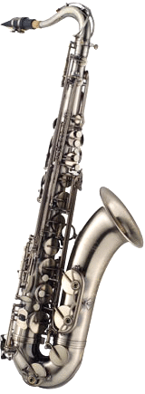 Tenor Saxphone TN-1100GM