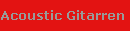 Acoustic Gitarren Verstrker 